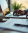 Elevate Your Business with Marketing Services
